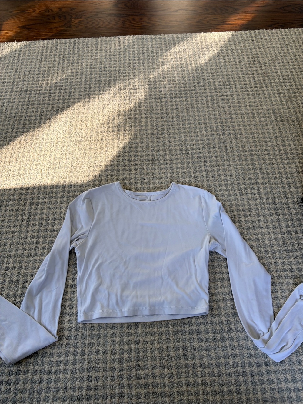 Aritzia White Cropped Long-Sleeve Crewneck Tee